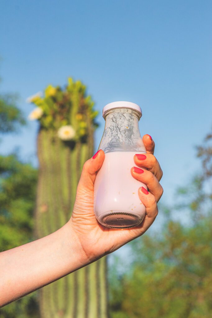 7 Desert-Inspired Cultured Milk Drinks That Actually Refresh You