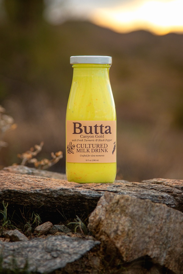 Canyon Gold cultured milk drink bottle on desert rock at sunset